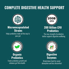 UpNourish Probiotics capsules close-up highlighting easy daily dosing.