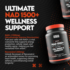 Capsules of UTOYA NAD 1500+ ready for a two-capsule daily routine.