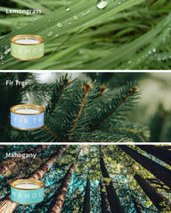 VEDA TINDA SCENT Fir Tree candle adds crisp seasonal scent.