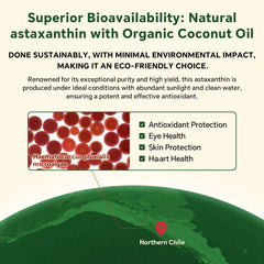 VEETAGYO gummies with 3mg Astaxanthin for antioxidant support