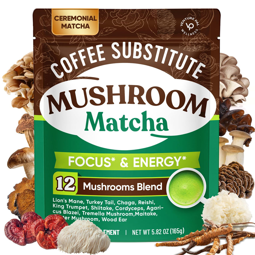 Venture Pal Mushroom Matcha Powder bottle for a daily ritual and focused energy.