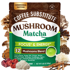 Venture Pal Mushroom Matcha Powder bottle for a daily ritual and focused energy.