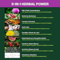 Verdeherb Turmeric extract capsules emphasizing antioxidant liver care.