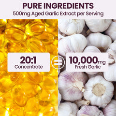 VerdiGusto odorless garlic softgels close-up showing easy-to-swallow convenience.