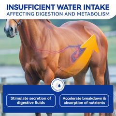 Vetanimus apple flavor electrolytes dosing scoop facilitates easy measurement.