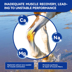 Vetanimus apple flavor electrolytes powder dissolves easily in water for quick hydration.