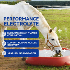Vetanimus apple flavor electrolytes tub label closeup highlighting convenient packaging.