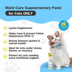 VFCARE Lysine for Cats serving spoon demonstrates easy portioning for consistent daily dosing.