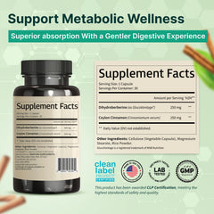VINATURA dihydroberberine capsules closeup for daily use.