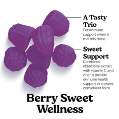 VITA GLOBE Elderberry Gummies berry-flavor chew, tasty alternative to capsules