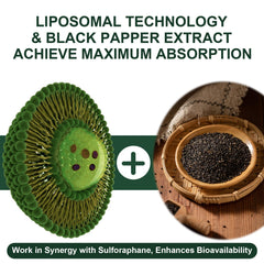 VITACRLLYNMN broccoli extract capsules close-up showing natural formulation.