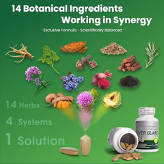 VITAJOURNEY Liver Cleanse tablets close-up highlighting easy daily supplementation.