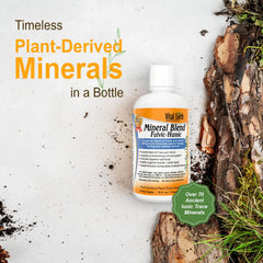 Vital Earth Minerals Fulvic Humic liquid in a glass ready to enjoy.