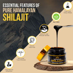Vital Hill Shilajit Resin teaspoon dissolving in warm water for easy daily use.