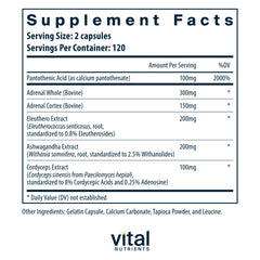 Vital Nutrients Adrenal Support bottle label showing clean allergen-conscious formula