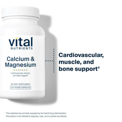 Vital Nutrients Calcium Magnesium capsules close-up showing easy-to-swallow vegan capsules