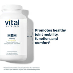 Vital Nutrients MSM 1000 mg capsules closeup emphasizes pure odorless sulfur for everyday wellness