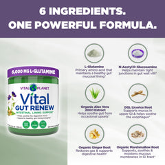 Close-up of Vital Gut Renew organic ingredients and blend highlights