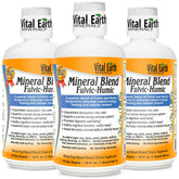 Vital Earth Minerals 3-pack bottle view with 70+ minerals