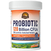 Vitalitown Probiotics 120 Billion bottle shown for on the go digestive support