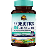 Vitalitown Probiotics bottle showing 120B CFUs for balanced digestion
