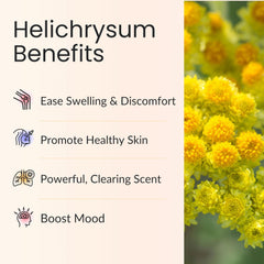 Vitality Helichrysum skin-care-application with dropper for safe topical use.