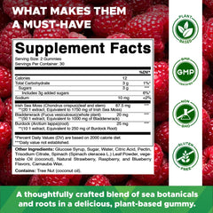 Vitamatic Irish Sea Moss Gummies close-up of raspberry gummies for easy daily use.