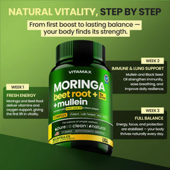 Vitamax Beet Root capsules highlighting vibrant color and plant-based nourishment.