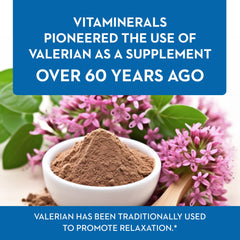 Vitaminerals Baldrian label closeup highlighting standardized extract