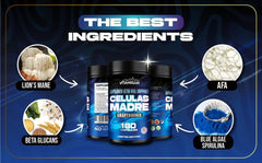 VITAMISAN AFA blue-green algae capsules highlighting immune support