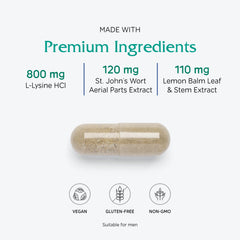 Vitanica Lysine Extra ingredients chart illustrating lysine and botanicals contributing to immune wellness