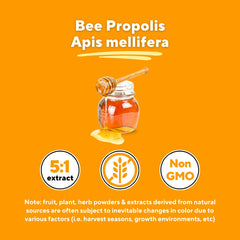 Vitapia Bee Propolis capsules in hand suggesting easy daily supplementation.