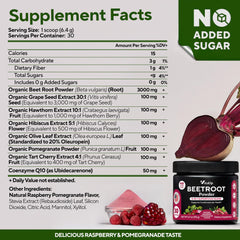 VitaUp ingredients close-up highlights organic beet root and antioxidant-rich components.