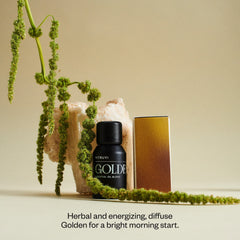 Vitruvi Golden diffuser in a room creating a bright, cozy atmosphere