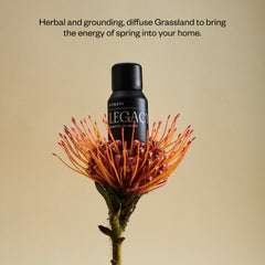 Vitruvi Legacy Woodsy matte black bottle protecting oils from UV.