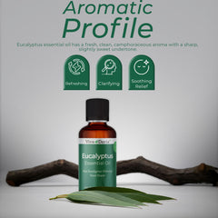 Viva Doria eucalyptus oil diffuser setup for a refreshing room aroma.