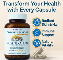 Vivanutra Irish sea moss visual shows nutrient-rich blend.