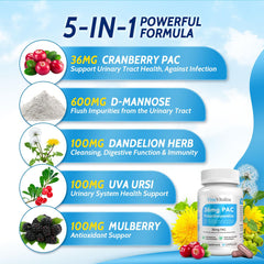 VivaVitalize cranberry powder being poured highlighting PAC potency for urinary health
