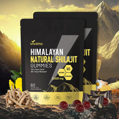 VivoNu Pure Himalayan Shilajit Gummies bottle for daily vitality and wellness.