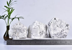VIZYTOU white howlite wand displaying streaks, a natural stone suitable for study or mindfulness.