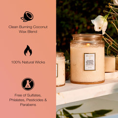 Voluspa Japonica Jasmine Midnight Blooms lit candle creating inviting ambience