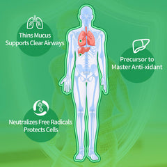 Warmbioder NAC Gummies green apple flavor delivers a crisp, tasty wellness moment.