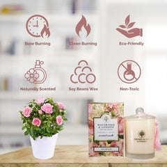 Wavertree & London triple fragrance soy candle for layered aroma
