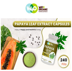 WAY 4 ORGANIC W4O 500 mg capsules arranged for daily immune and digestion support.