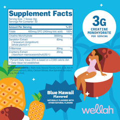 Wellah Creatine Blue Hawaii powder scoop showing 3 g portions