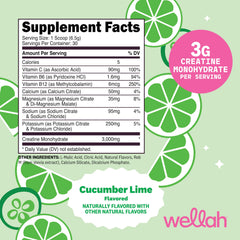 Wellah Creatine + Hydration powder in shaker enables quick mixing and on-the-go hydration