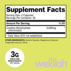 Close-up of Wellah capsules highlighting micronized texture for easy mixing.