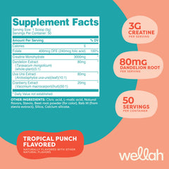 Wellah Creatine Tropical Punch tub front showing ingredients and NSF GMP badge