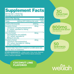 Wellah Creatine for Women coconut lime mixing glass ready for daily hydration