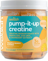 Wellah Pump-It-Up Creatine Pineapple Mango stick pack for on-the-go workouts.